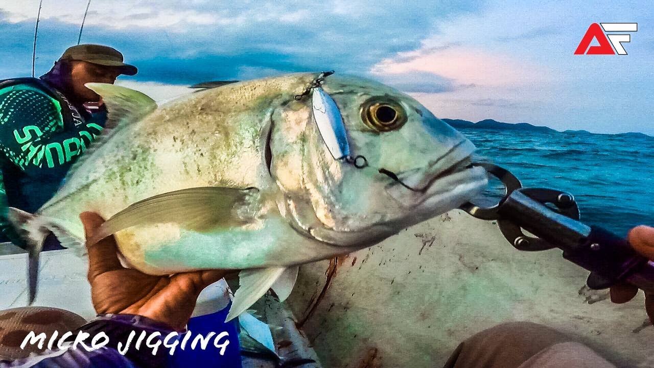 Micro Jigging Air Cetek Dapat GT Good Size