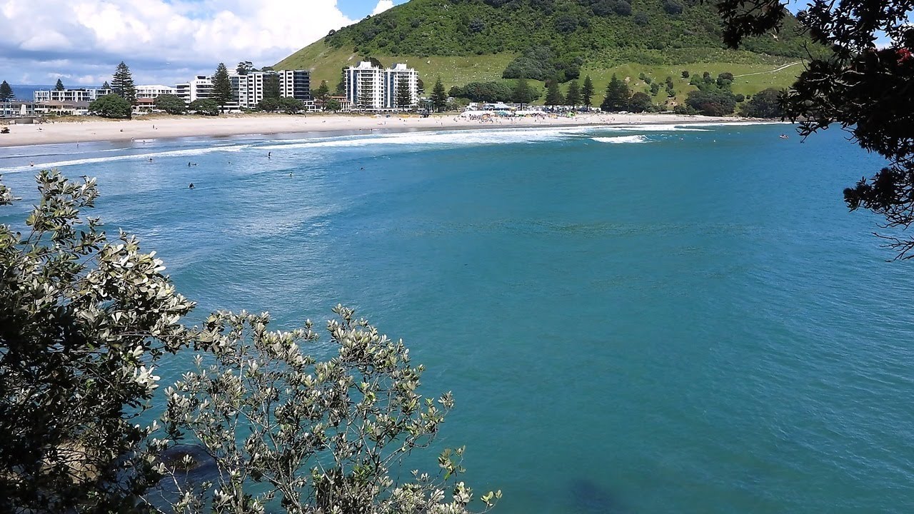 Best Tourist Attractions you MUST SEE in Whakatane, New Zealand | 2019