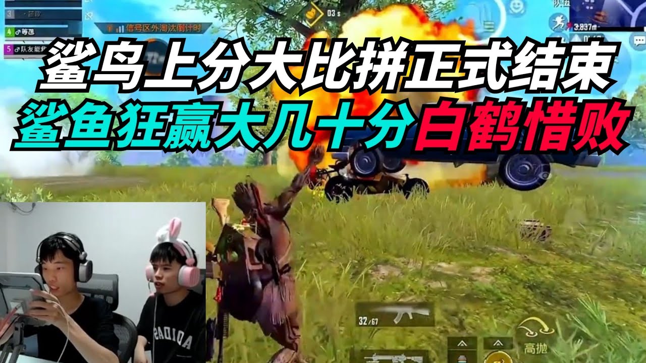 和平精英：鲨鸟上分竞赛最后精彩实力对局！白鹤惜败，但已尽力！