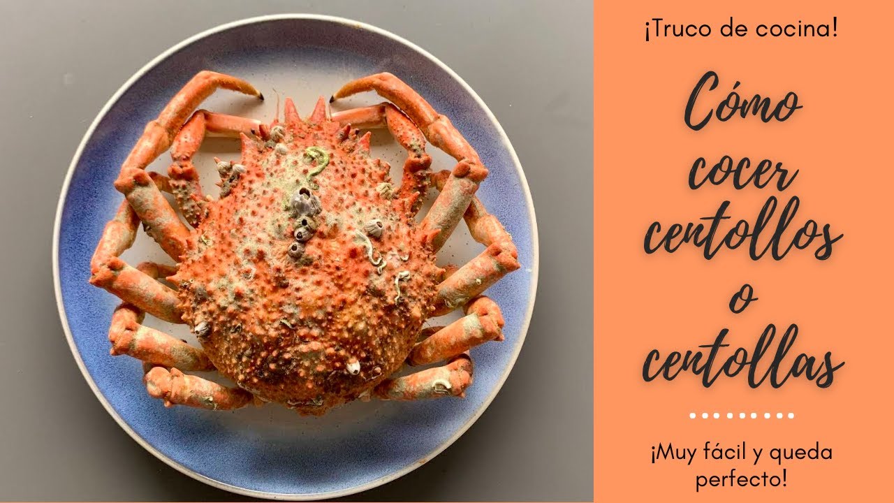 CÓMO COCER CENTOLLO O CENTOLLA🦀 Todos los TRUCOS para que te quede PERFECTO👩‍🍳