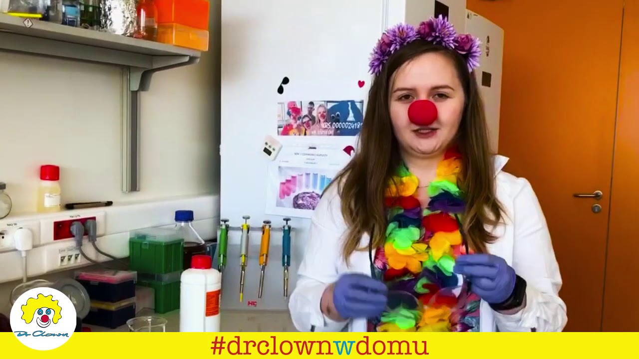 Domowe laboratorium #9 Lokomotywa 🚂