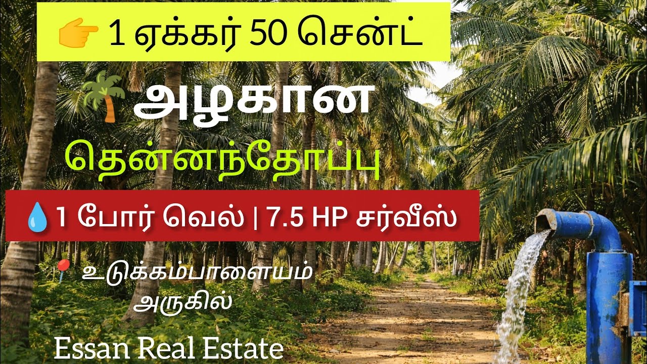 1 ஏக்கர் 50 சென்ட் தென்னந்தோப்பு விற்பனைக்கு | உடுக்கம்பாளையம் | 