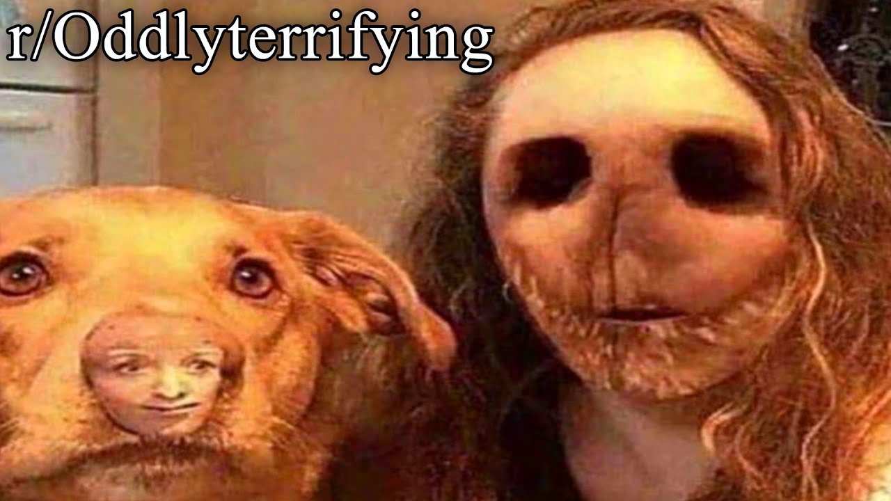 r/Oddlyterrifying | о нет