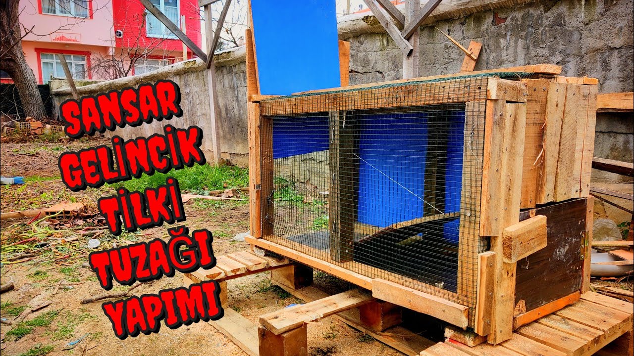 BÜYÜK SANSAR KAPANI YAPIMI - SANSAR YAKALAMA - Marten Trap Making