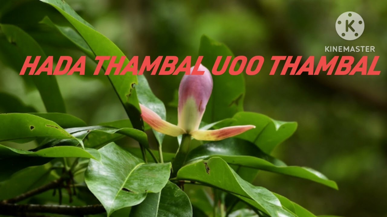 HADA THAMBAL UOO THAMBAL||AUDIO||