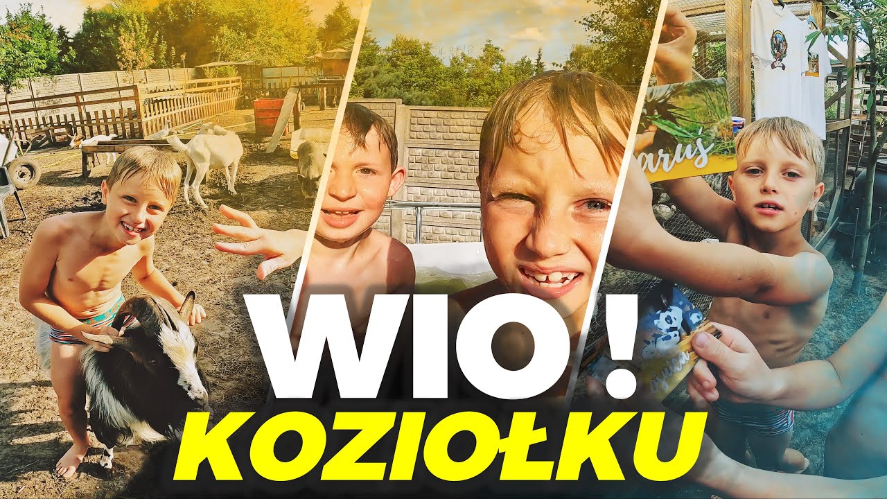 🐎 UJEŻDŻAMY JARUSIA 🐎 małe kociaki 😻 + kąpiel  w basenie 💧  MOJE MINI ZOO / odc. 448