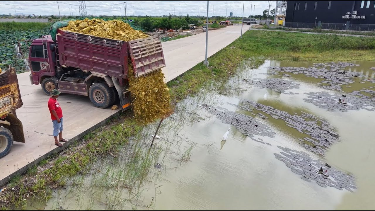 Perfect Started New project! Dump Truck Pouring Soil Delete Pond,By Skillful Dozer D31A Pushing Soil