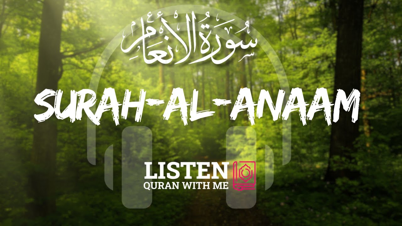 Surah-Al-Anaam | The Cattle | Omar Hisham Al Arabi | Listen Quran With Me