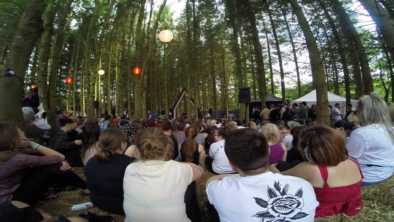 moose blood, cherry, 2000trees forest stage