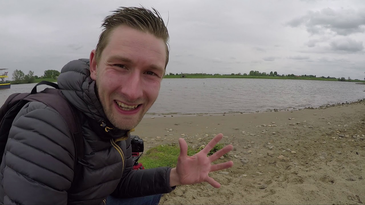 #101: Gierzwaluwen boven de Rijn!