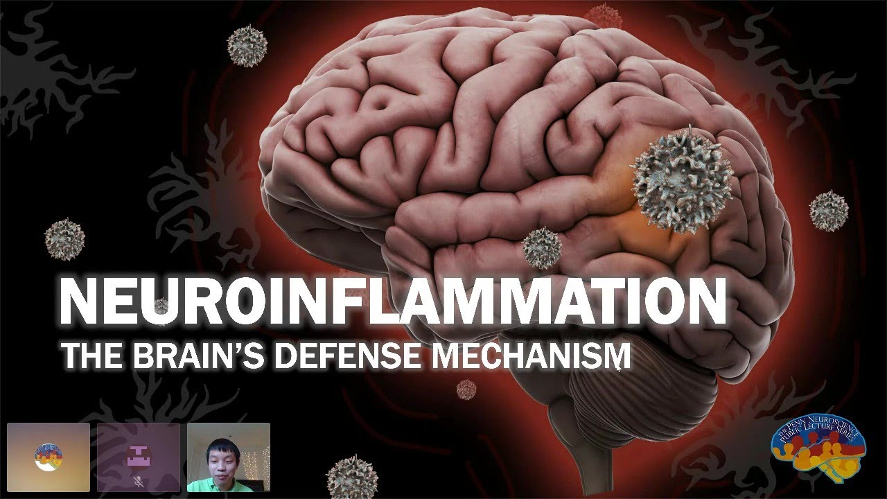 Introduction to Neuroinflammation (Yuzhang Chen, Neuroscience PhD student)