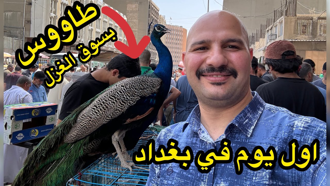 اول يوم بغداد | ودوني السوق الغزل | نور و سنان | Noor Siann Family |