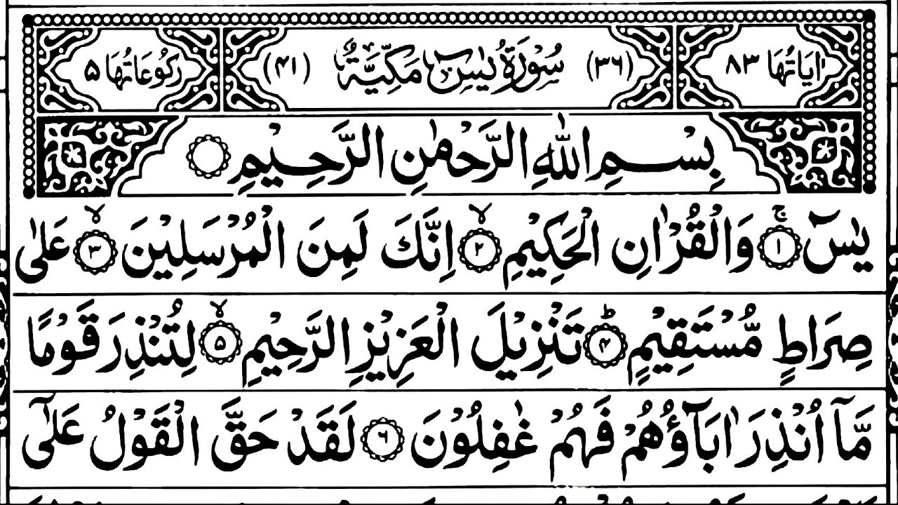 Surah Yasin Surah Rahman | Best Morning Zikr | Ep_136 | Most Beautiful Recitation | Faith Of Quran