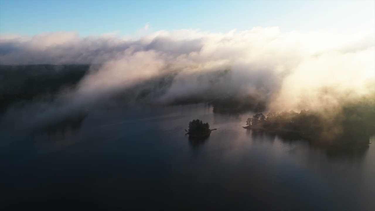 August 24, 2025   Morning Flight at AlgonKawartha