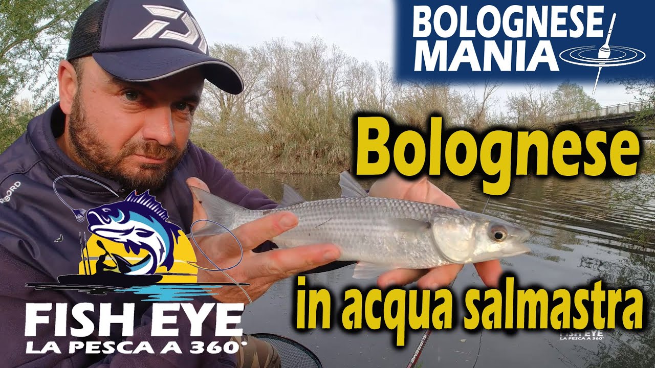 Pesca a bolognese - in fiume a pochi km dalla foce
