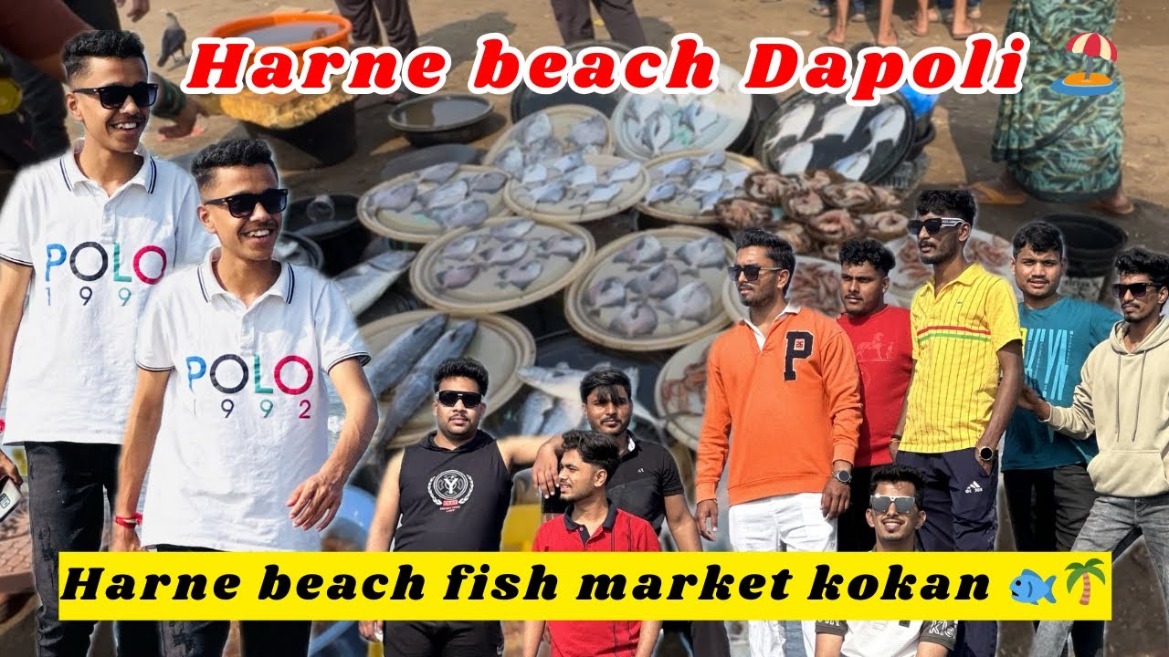 Harne beach Dapoli 🏖️ || Harne bandar fish market || Konkan vlog 
