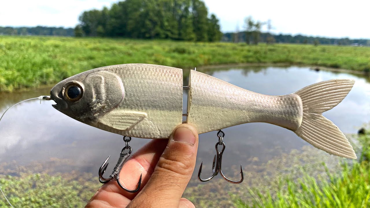 Tossed a GIANT SHAD Bait and Caught THIS!!! -- Unbelievable FEEDING FRENZY... (BIG FISH!)