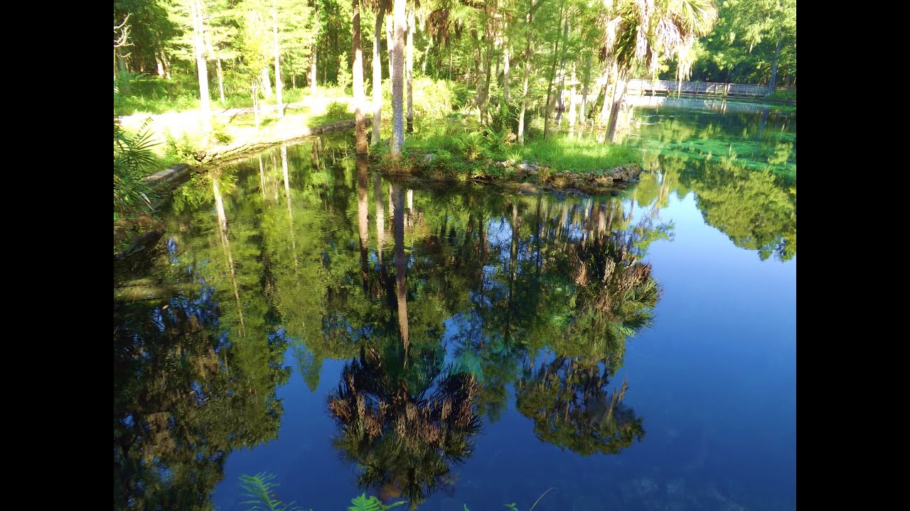 Crystal Springs in Pasco County Florida                  #268