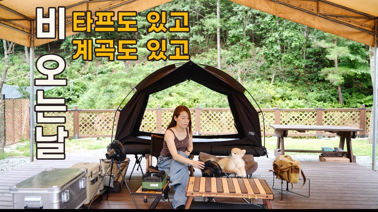 타프도 있고 계곡도 있는 캠핑장 | 솔로캠핑 | 애견동반캠핑장 | 캠핑브이로그 | 윈즈웨이브