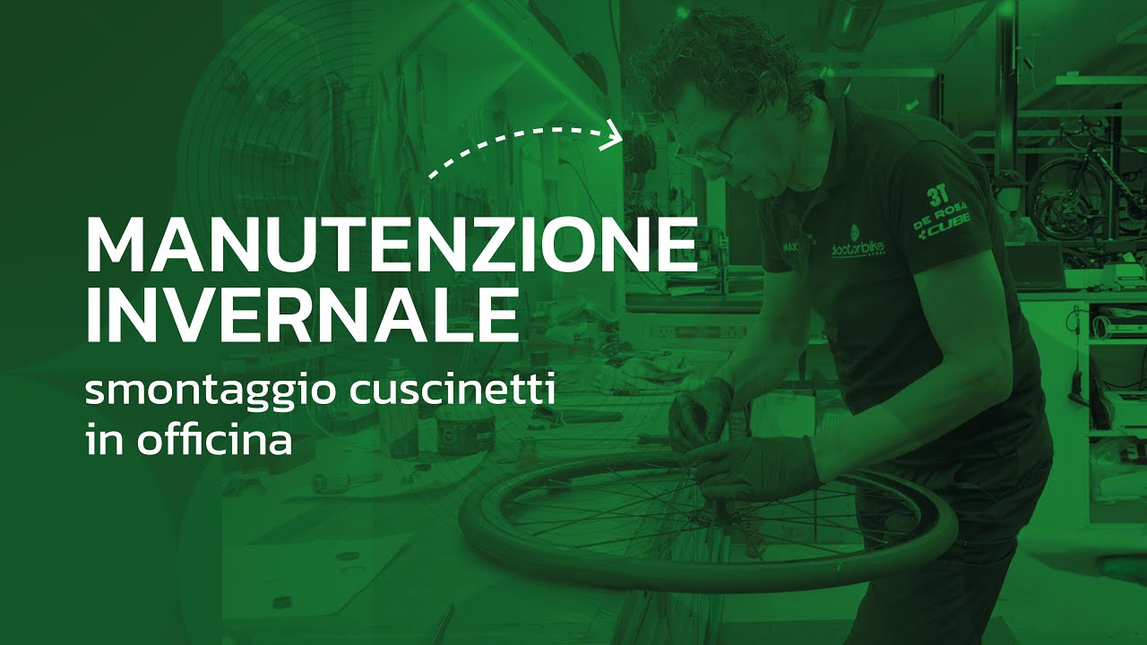 Manutenzione invernale: smontaggio cuscinetti in officina | Doctorbike