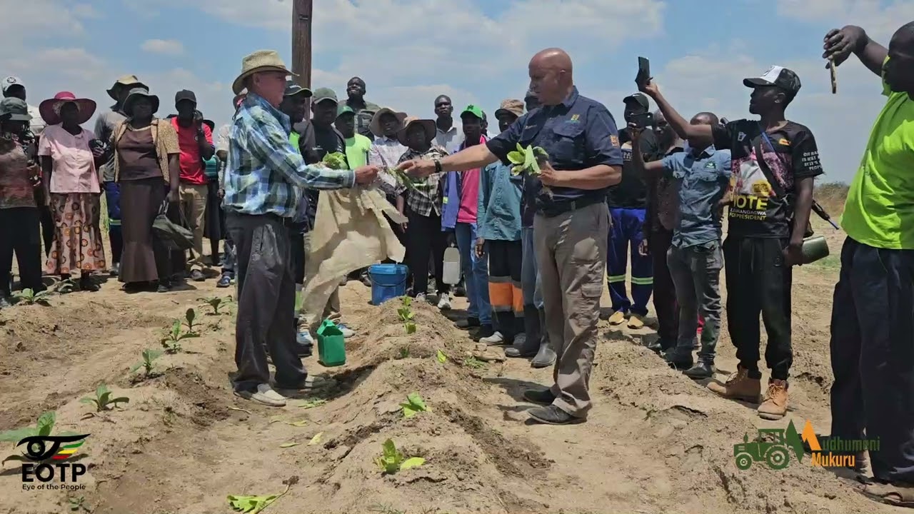 White farmers love Zimbabwe and share knowledge with other farmers