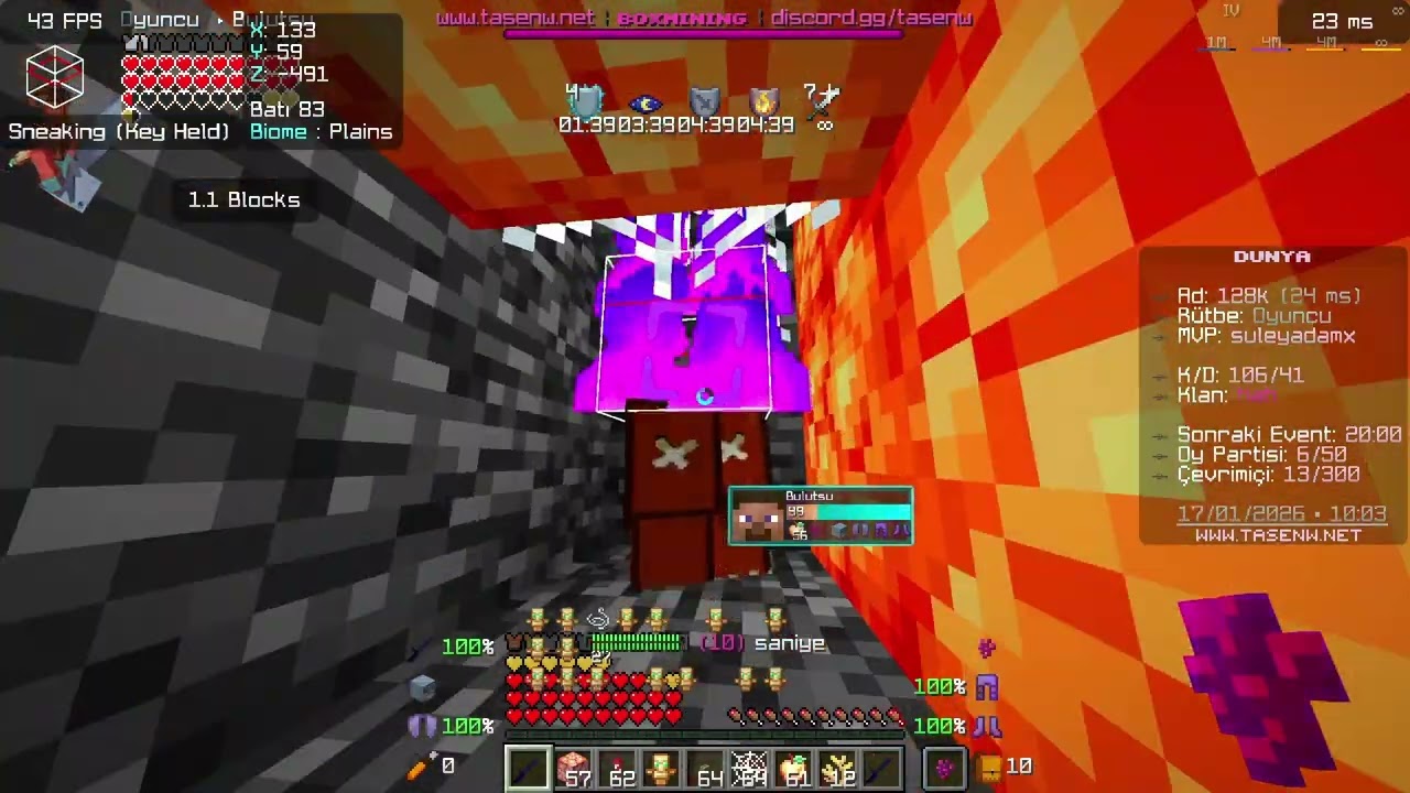trap montage