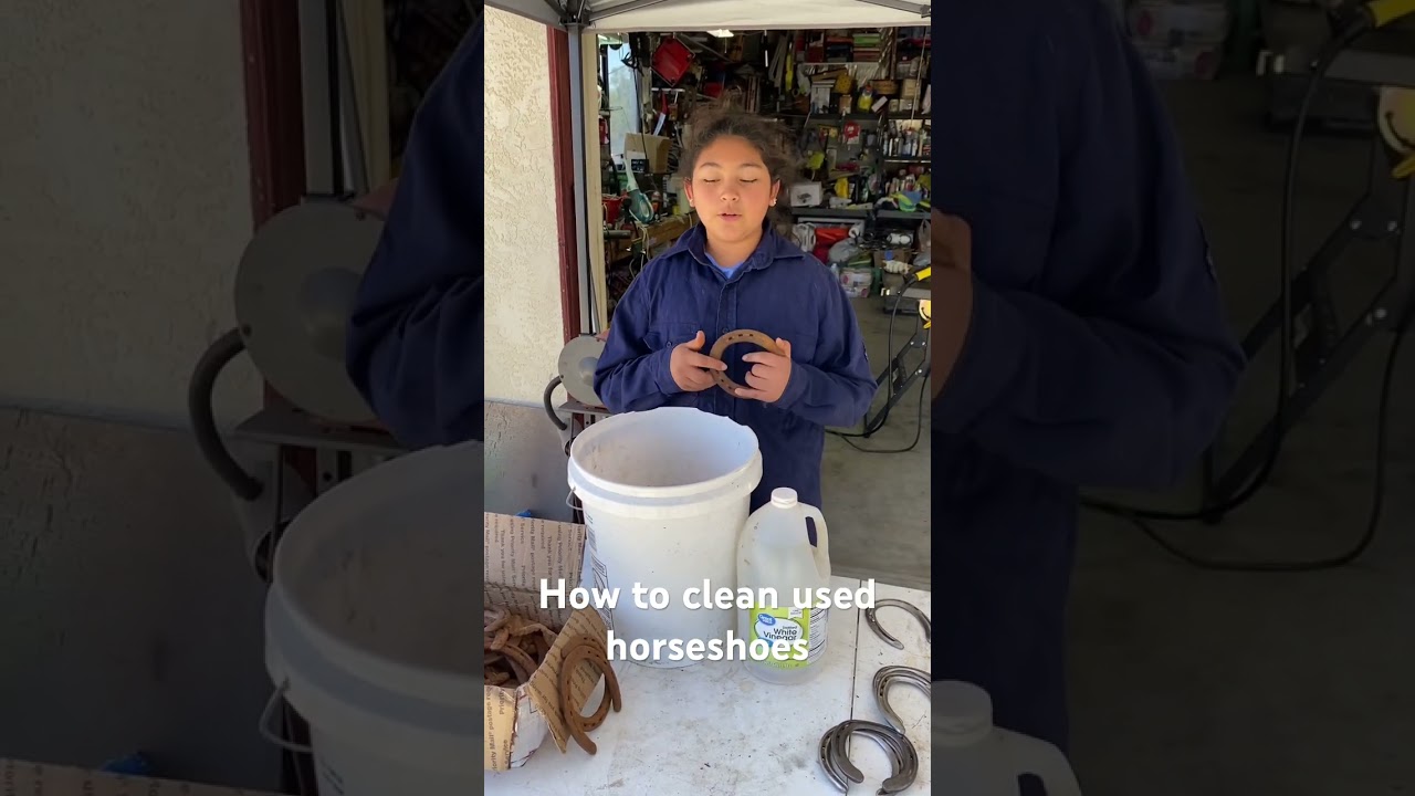 How to clean used #horseshoes