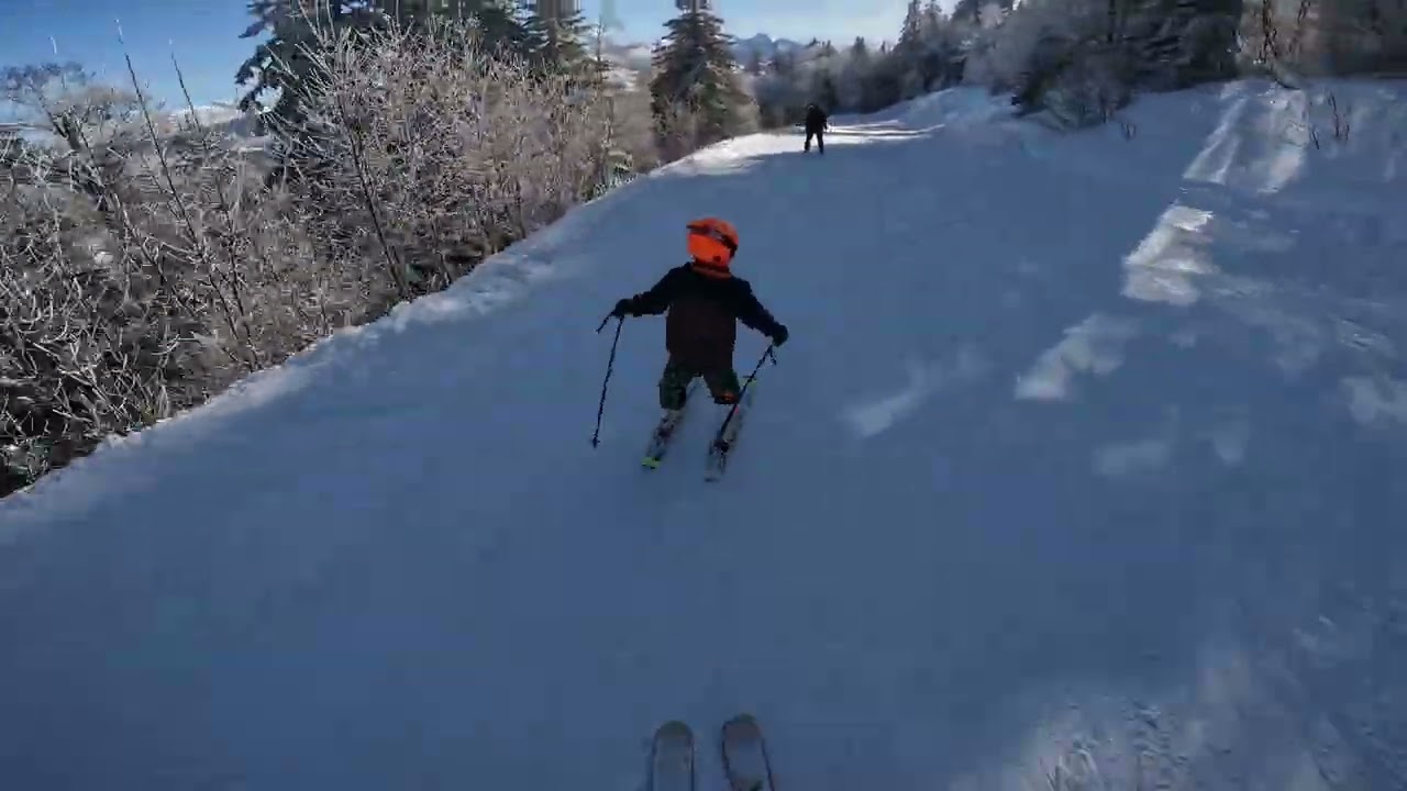 Ski Meaudres