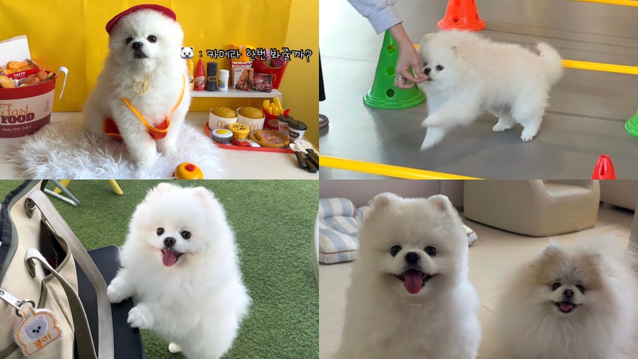 자투리 영상 모음집 ver.2 (2024~2025 영상이 고루 분포되어 있는)