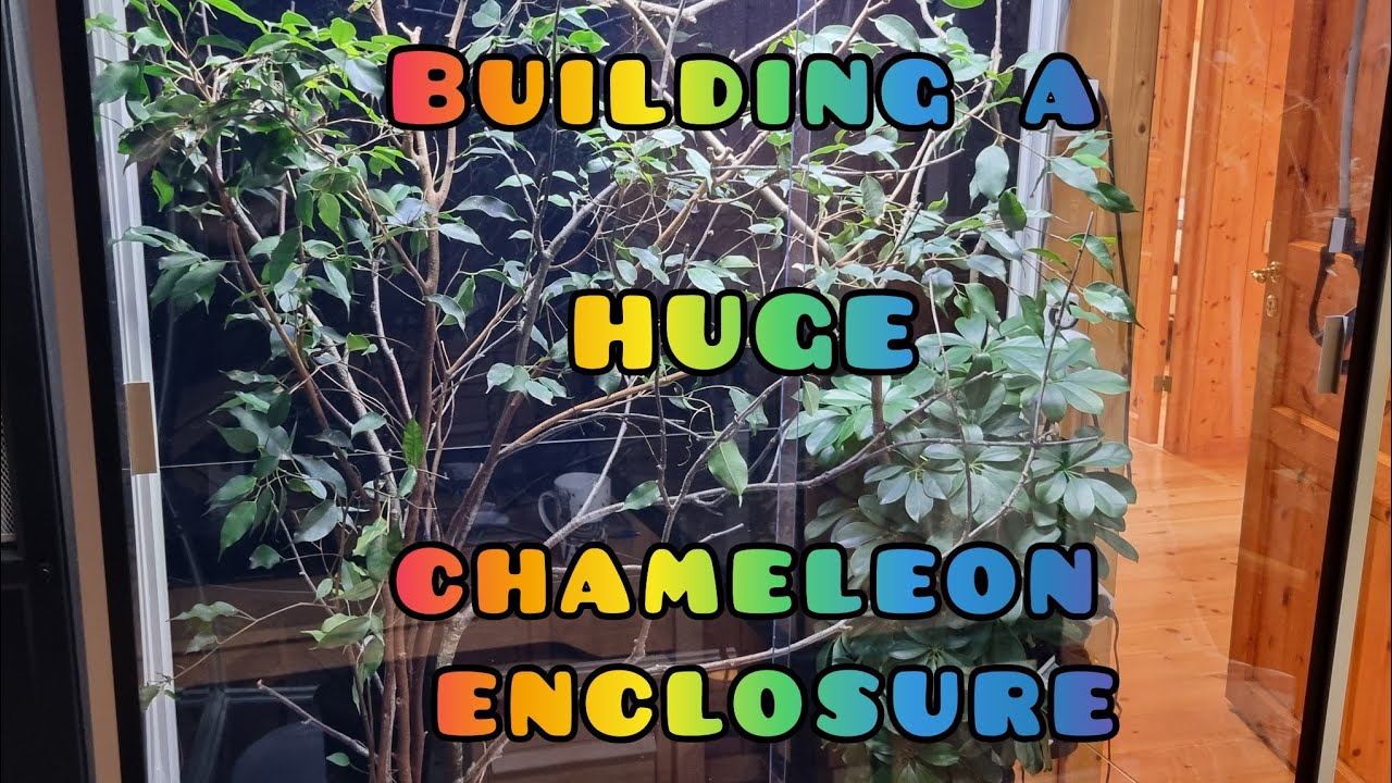 Large Chameleon Enclosure Build - aluminum and acrylic