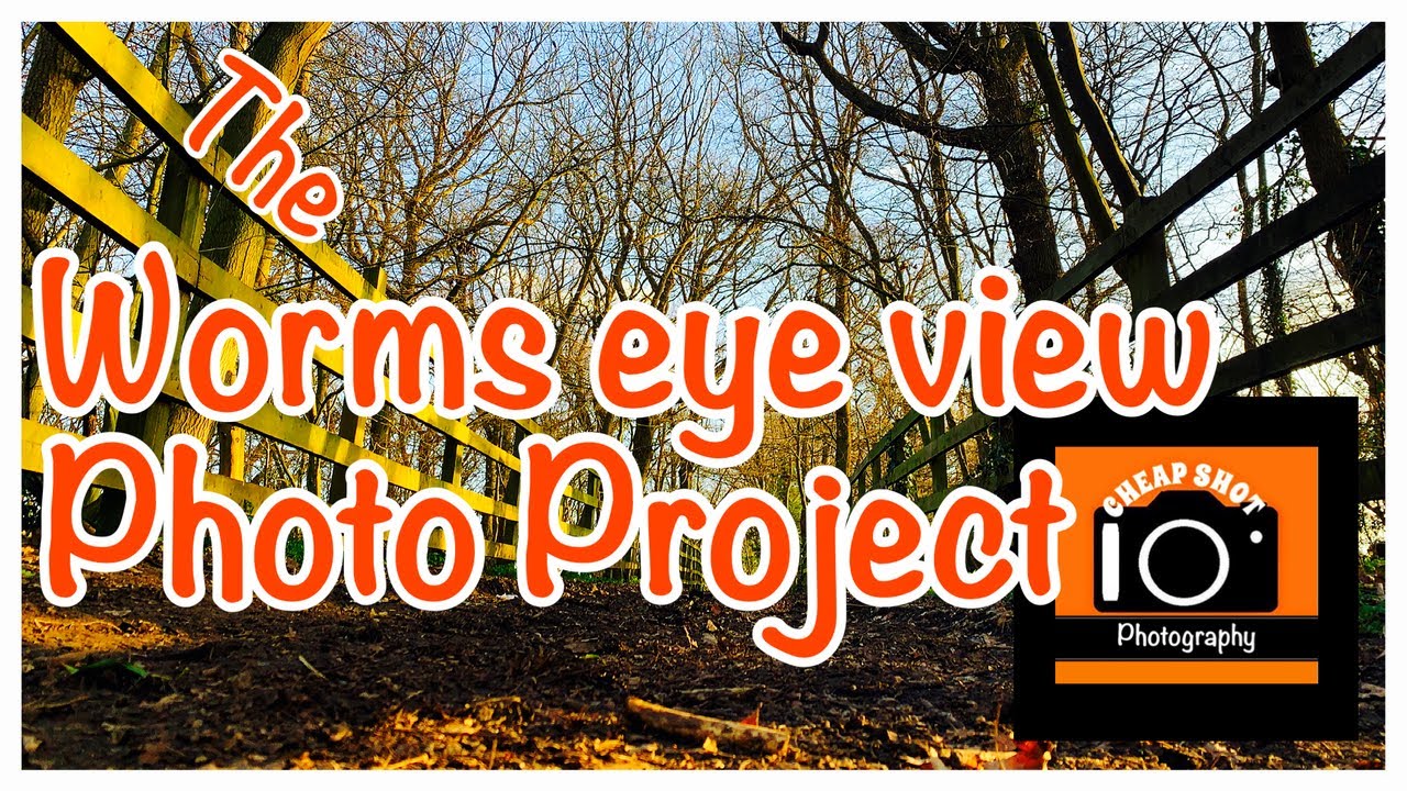 The Worms Eye View Photo Project  #photography