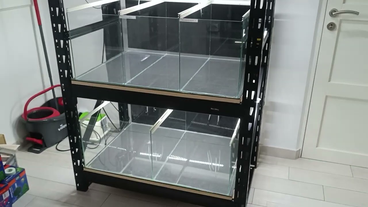 Nouveau Projet ! Nouvelle fishroom !!