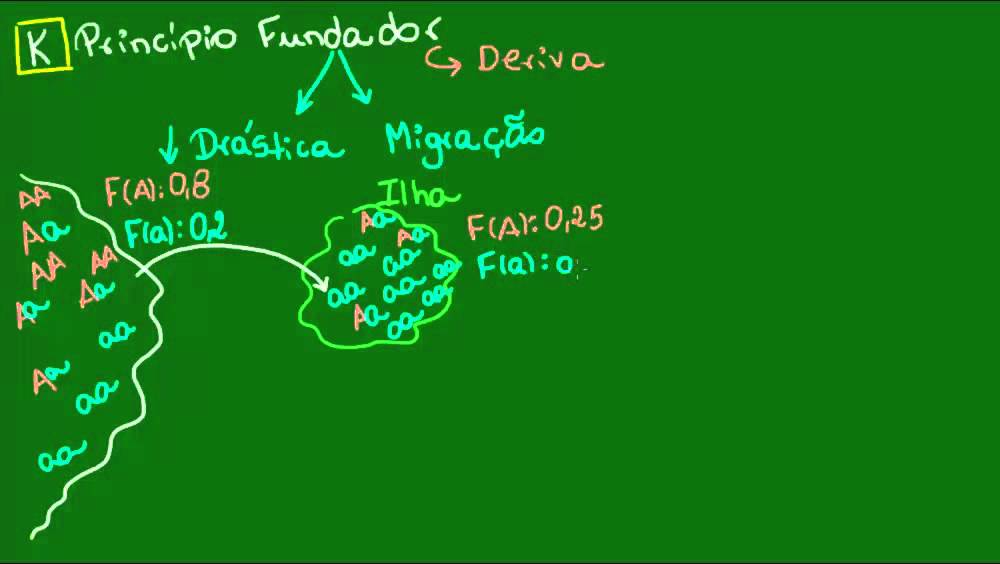 Princípio do fundador - Evolução - Biologia