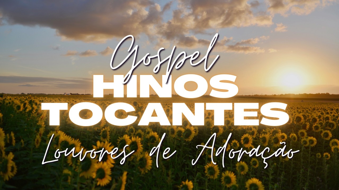 LOUVORES DE GRATIDÃO A DEUS | As Melhores Músicas Gospel | Hinos Evangélicos que alimentam a alma