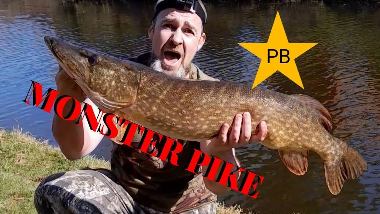 I caught a beast ( new pb ) Leeds Liverpool canal