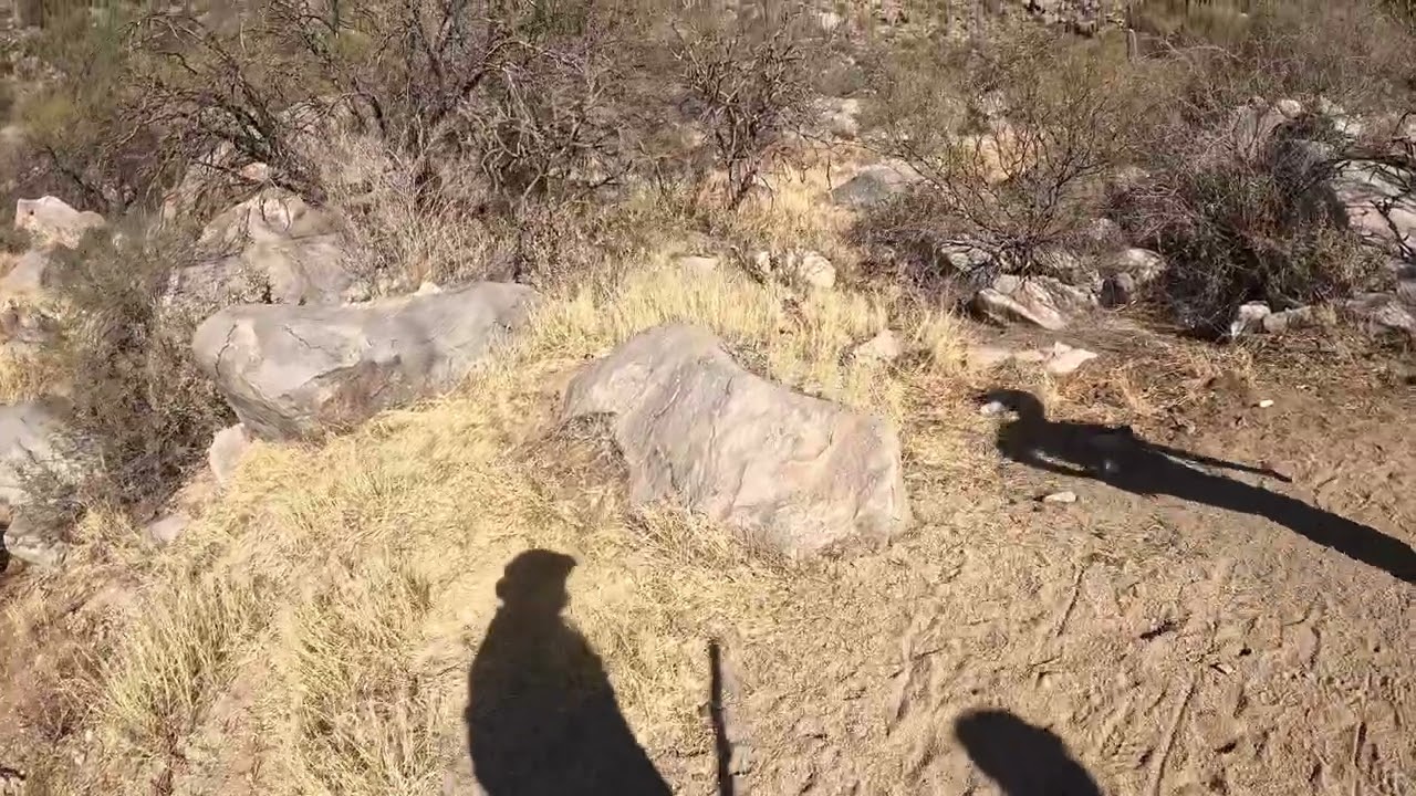 Arizona: Tortolita Mountains