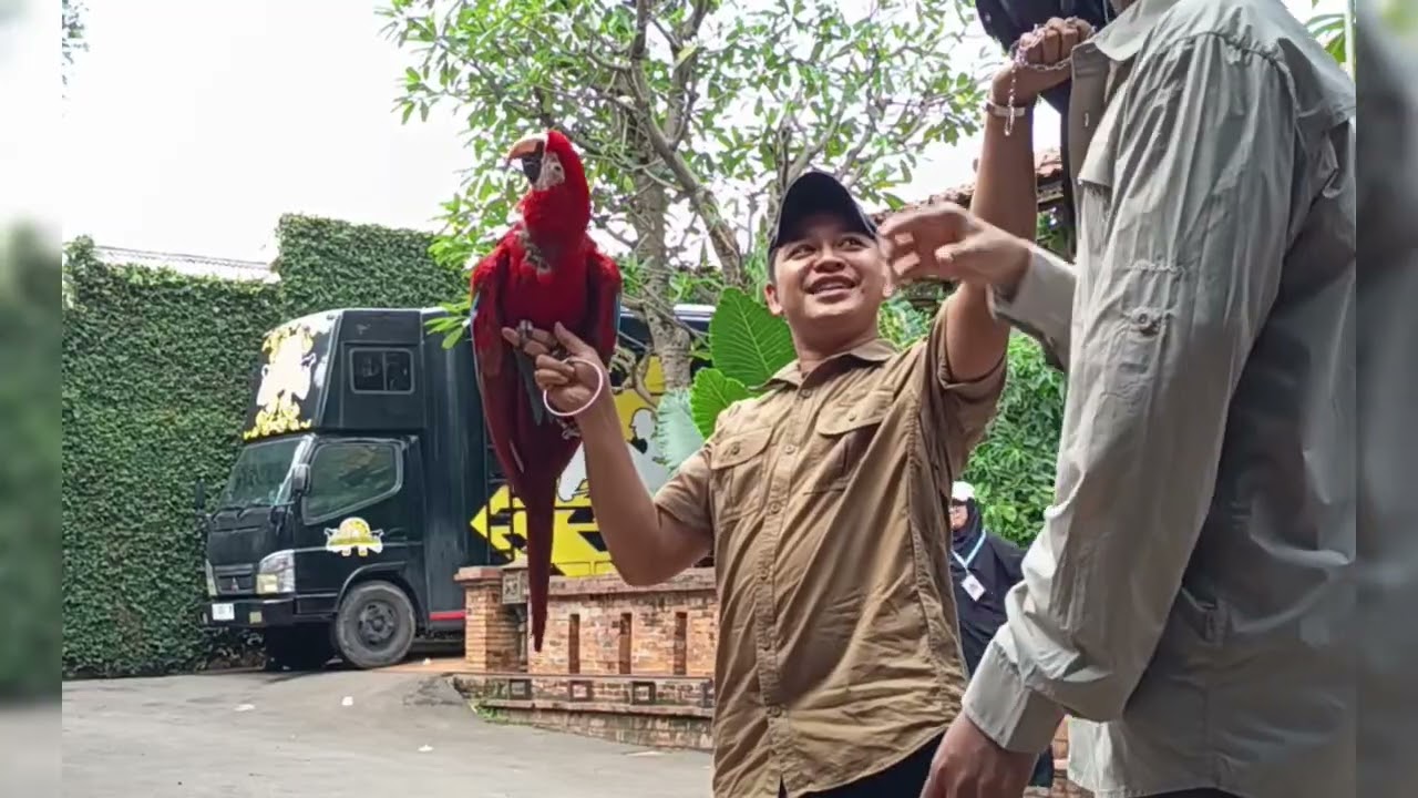 Dehakim Aviary Aviary punya Ifran Hakims Bekasi