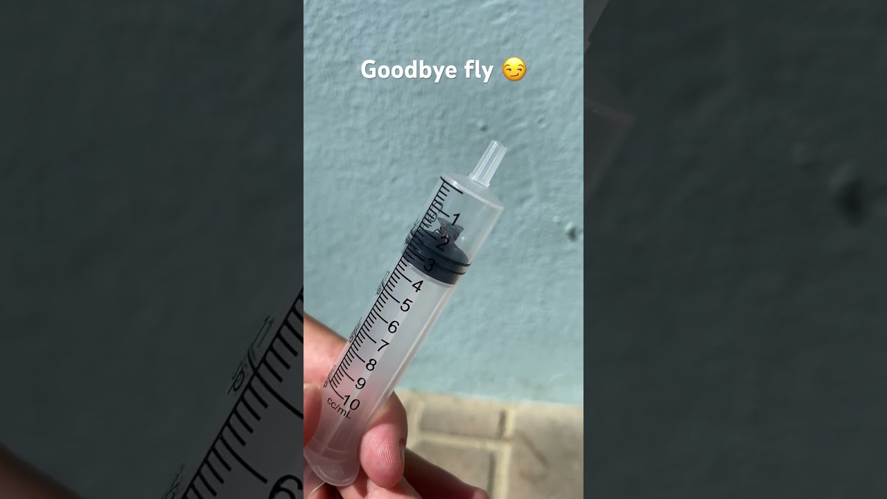 Fly in syringe (watch to the end…)