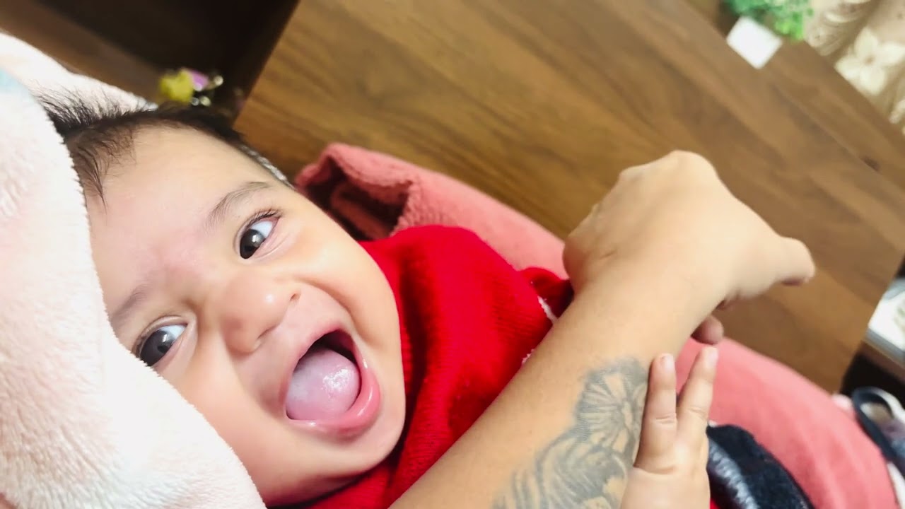 Little lion 