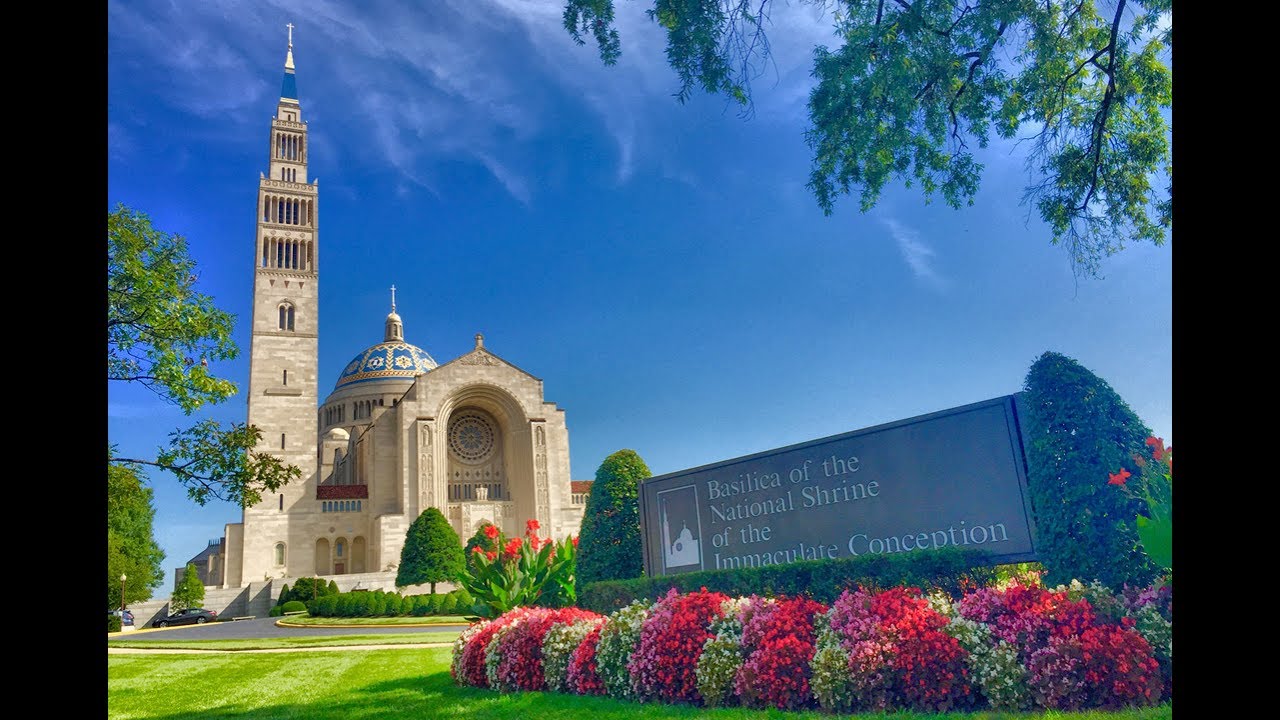 Solemnity of Pentecost and the Dedication of the Statue of St. Junipero Serra