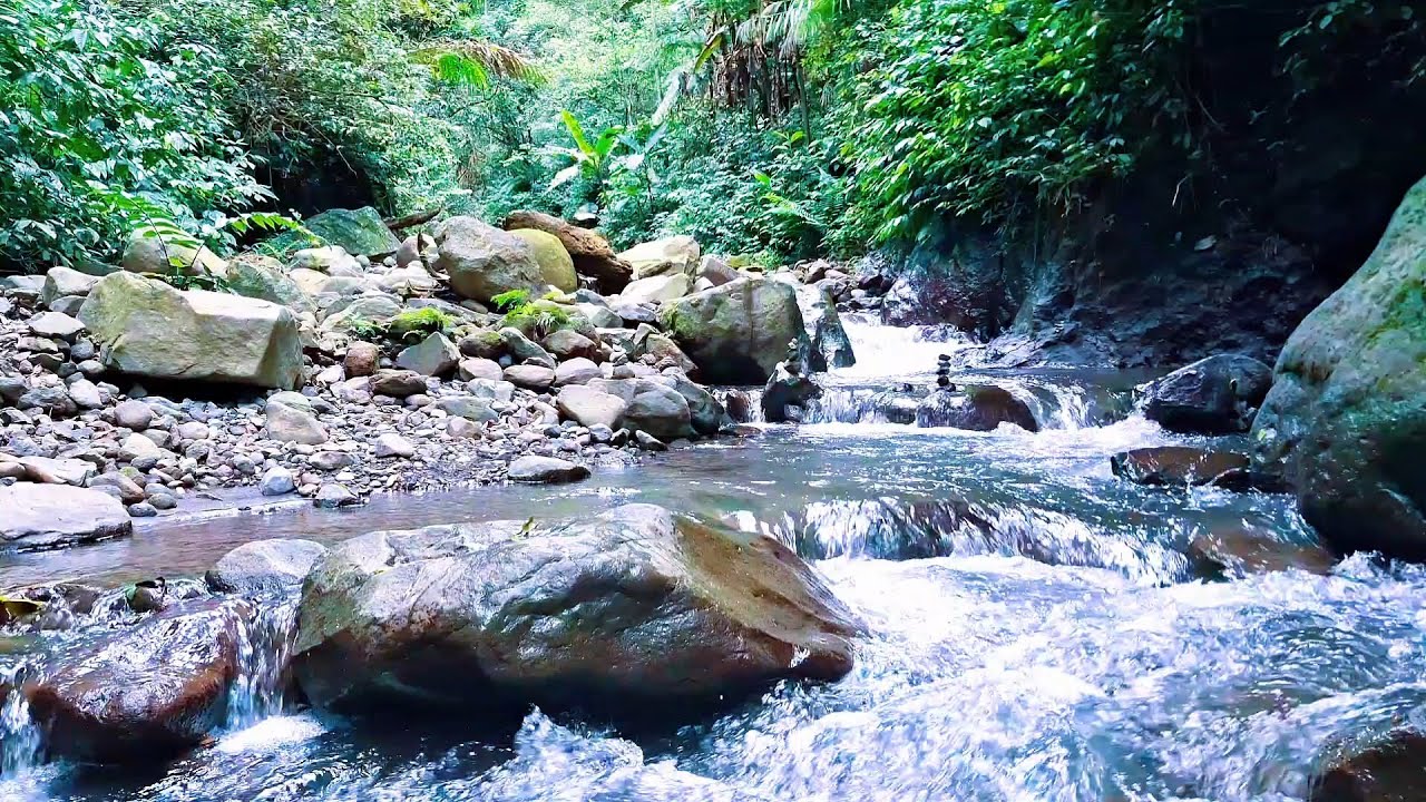 Calm River Flow for Mental Ease