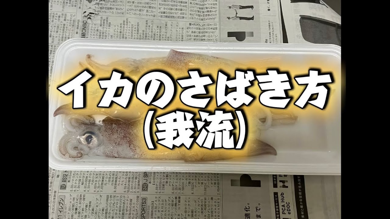 イカのさばき方（我流）