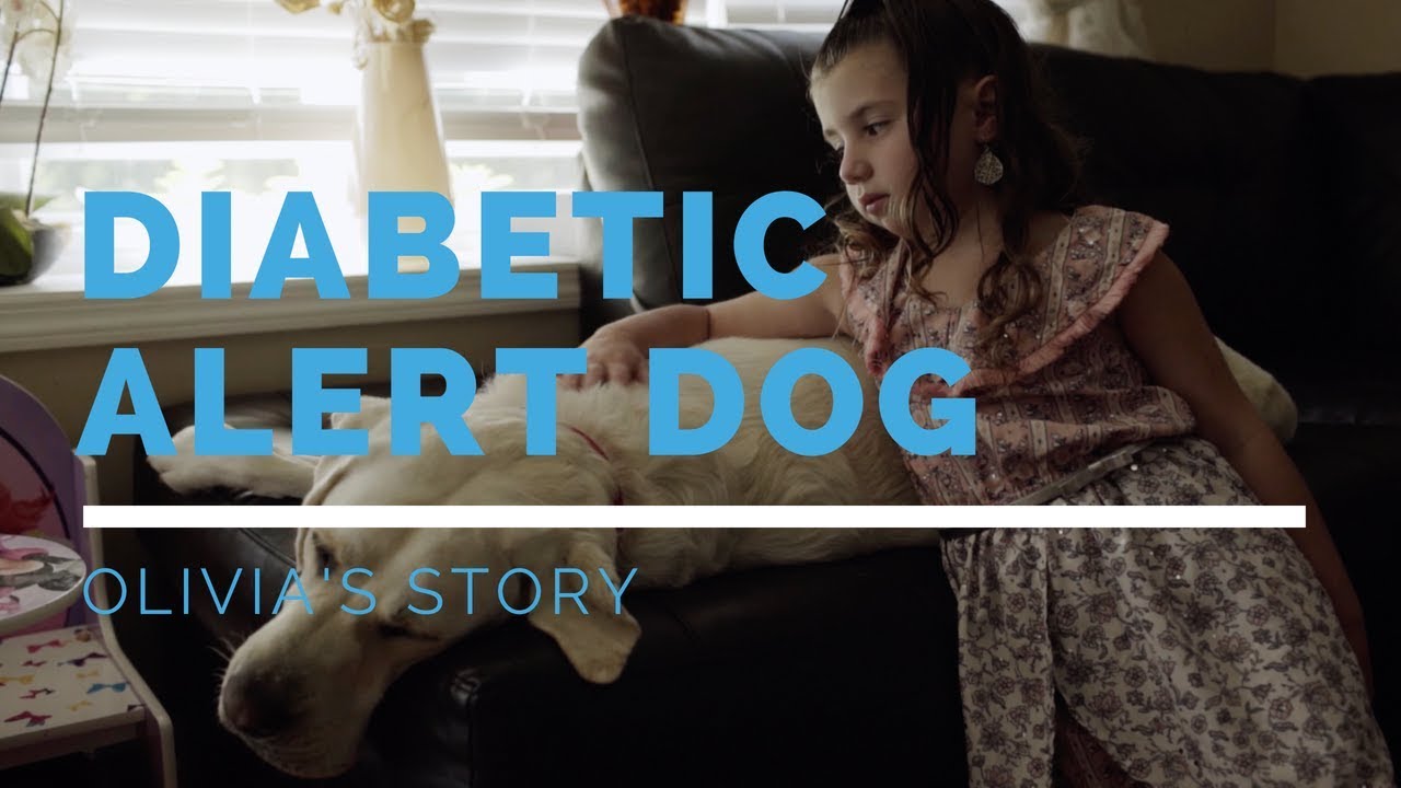 Diabetic Alert Dog Feature: Olivia's Story