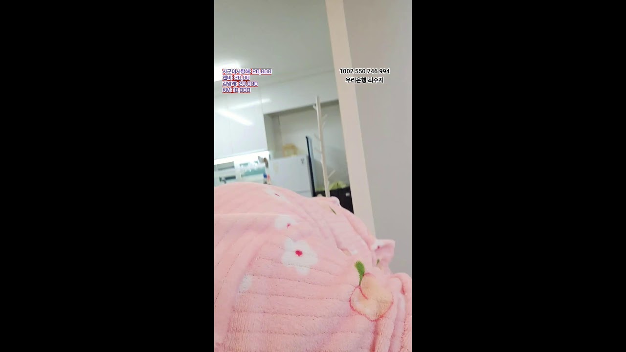 담금주만들고 술할까요?