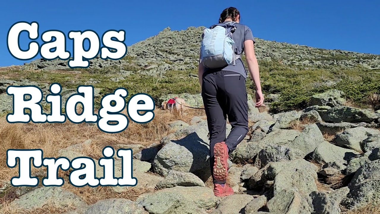 Hiking Mt. Jefferson | A wicked tough trail with my dog | White Mountains, New Hampshire