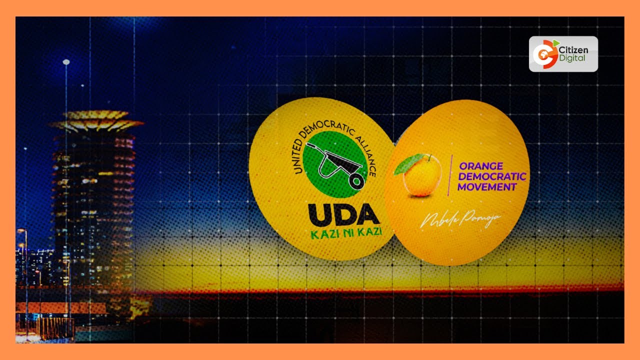 UDA assures full implementation of 10-point agenda as coalition talks continue