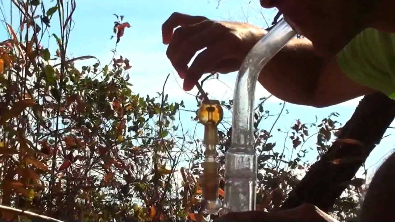 Dabs...and stuff