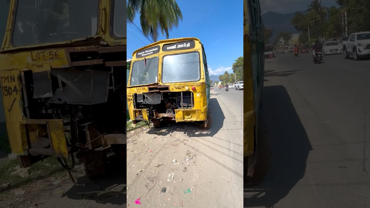 Found a Bus Graveyard! A Tour of Damaged & Scrap Buses Forgotten Giants #travel #trending