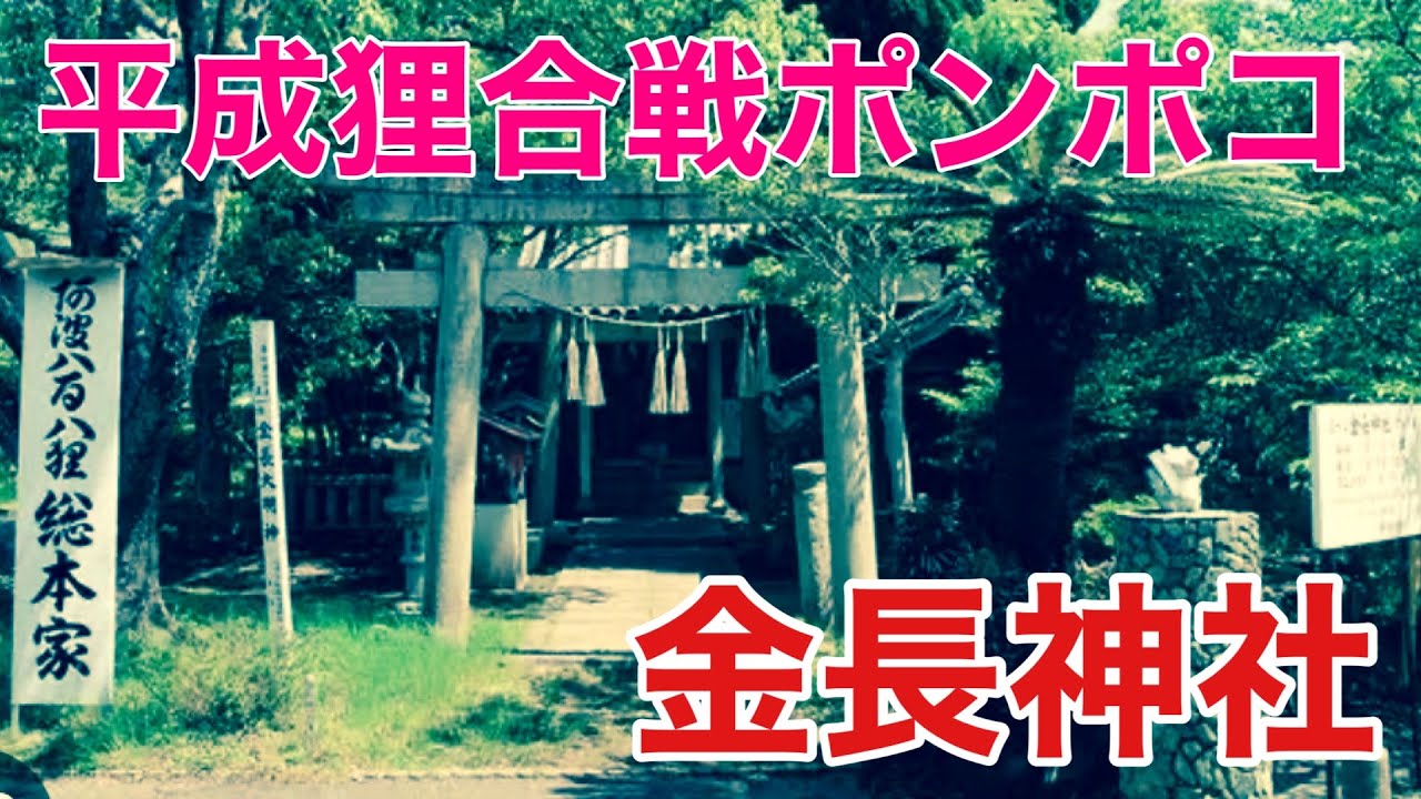 （旧）【金長神社】平成狸合戦ポンポコのあの神社が取り壊しの危機！どんな感じが行ってみた！『徳島県小松島市』「徳島観光：旅＆グルメスポット」