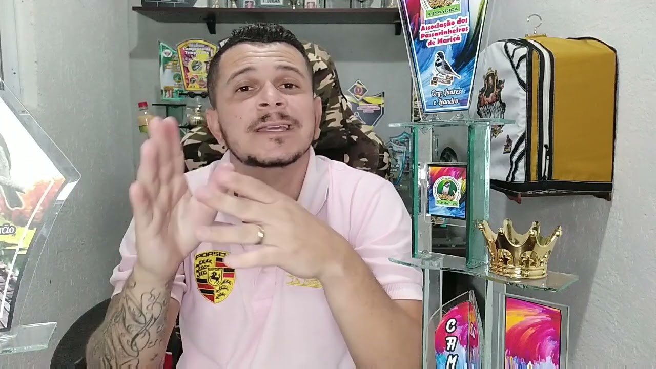 SAIBA SE O SEU COLEIRO FALTOU FÊMEA NO TORNEIO OU BADERNA